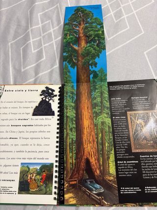 El árbol y el bosque (Biblioteca Interactiva: N...