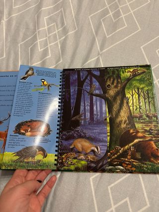 El árbol y el bosque (Biblioteca Interactiva: N...