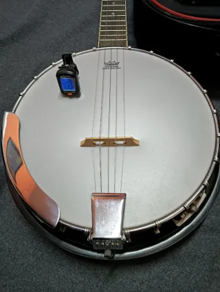 Banjo Daytona 5 cuerdas