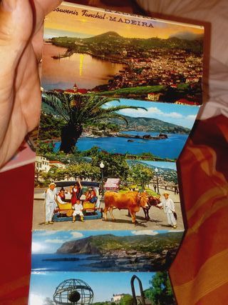 Postais-Sanfona Madeira 1970 - 12 Fotos Postais