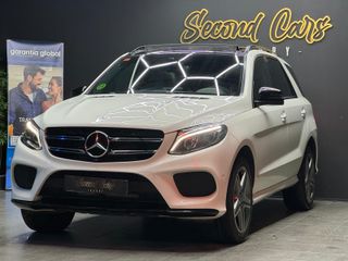 Mercedes-Benz Clase GLE GLE 350 d 4MATIC