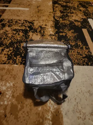 Fiambrera eléctrica 12V/220V