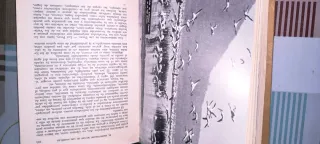 El maravilloso mundo de los animales