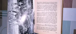 El maravilloso mundo de los animales