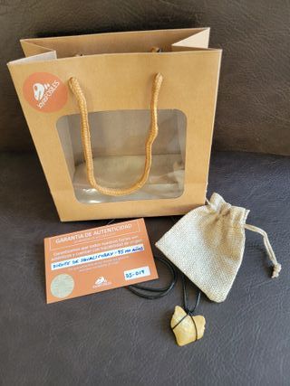 Colgante Squalicorax Fósil Auténtico