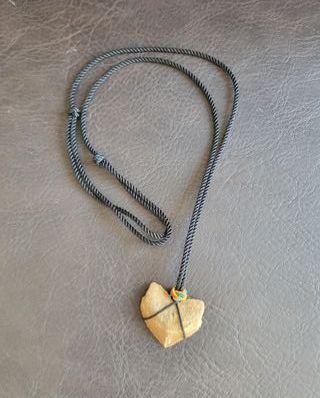 Colgante Squalicorax Fósil Auténtico