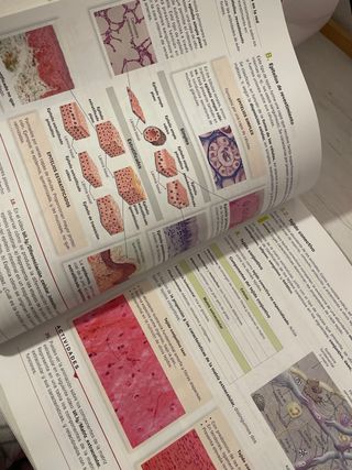 Biología, Geología y Ciencias Ambientales 1.º B...