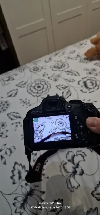 Cámara Canon EOS 600D + Lente 18-200mm IS