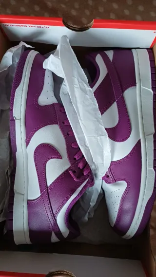 Zapatillas Nike Dunk Low viotech