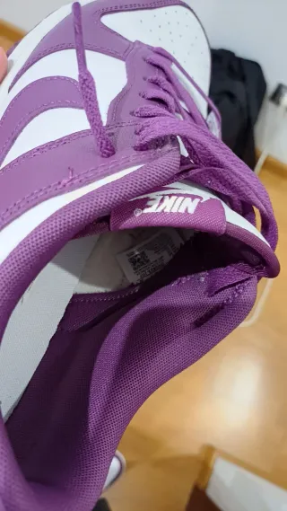 Zapatillas Nike Dunk Low viotech