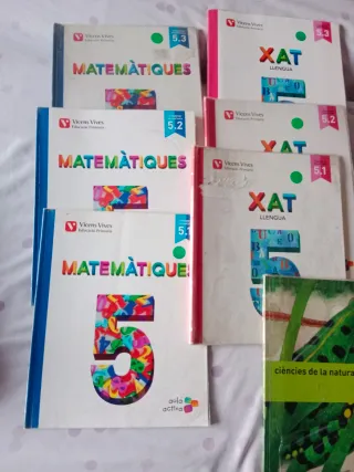 Libros cursos 5 y 6 de primaria