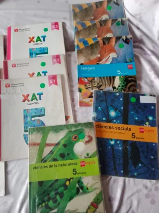 Libros cursos 5 y 6 de primaria