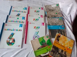 Libros cursos 5 y 6 de primaria