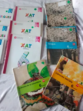 Libros cursos 5 y 6 de primaria