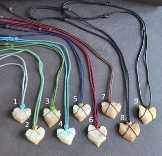 Collar Fosil Squalicorax Negro 95 Ma Años