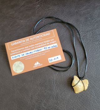 Collar Fosil Squalicorax Negro 95 Ma Años