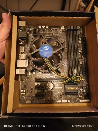 Placa Base Gigabyte GA-B250M-DS3H+ procesador