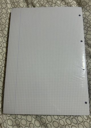 Recambio Hojas Oxford A4 250 Hojas