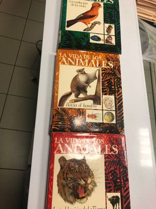 La vida de los animales