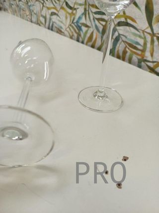 2 Bicchieri di Cristallo - Diva - Schott Zwiesel