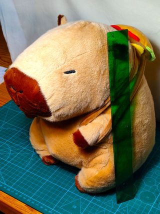 Peluche Capybara 33cm Nuevo