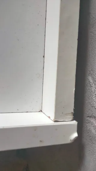 Cama nido con pequeña estantería.