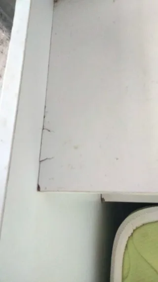 Cama nido con pequeña estantería.