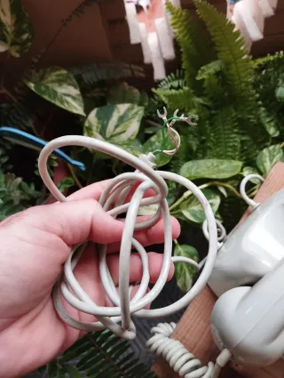 Teléfono antiguo gris y blanco