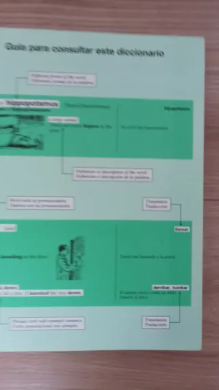 Vox Longman Diccionario Inicial Ilustrado Ingles