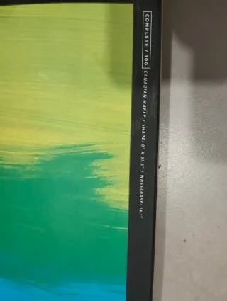 Skate Decathlon SK TEAM 100 GRADIANT