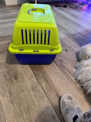 Transportín para gatos azul y verde