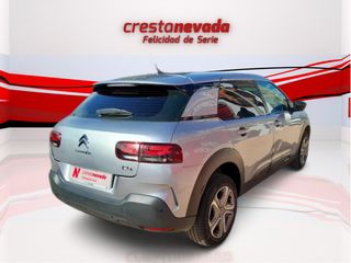 Citroen C4 Cactus 2020 ¡¡Desde 185€ al mes!!
