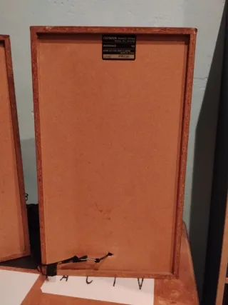 Altavoces Aiwa Negros