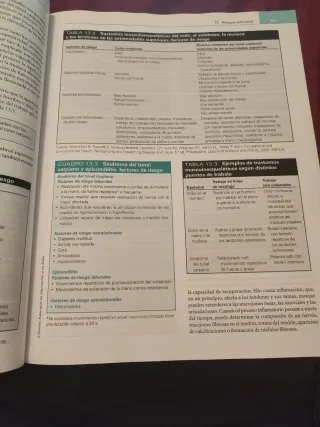 Atención primaria. Problemas de salud. Zurro.