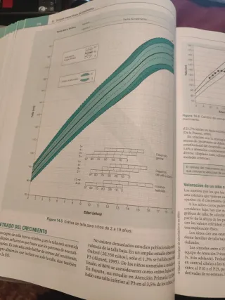 Atención primaria. Problemas de salud. Zurro.