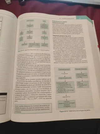 Atención primaria. Problemas de salud. Zurro.