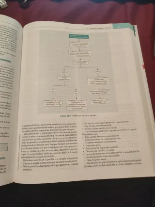 Atención primaria. Problemas de salud. Zurro.