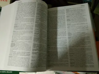 Grande Dizionario di Spagnolo" de Laura Tam