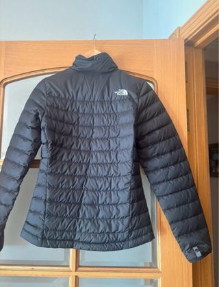 Chaqueta y plumas  The North Face gris