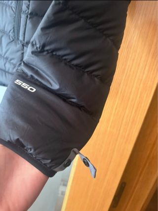 Chaqueta y plumas  The North Face gris