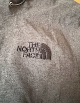 Chaqueta y plumas  The North Face gris