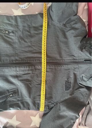 Chaqueta y plumas  The North Face gris