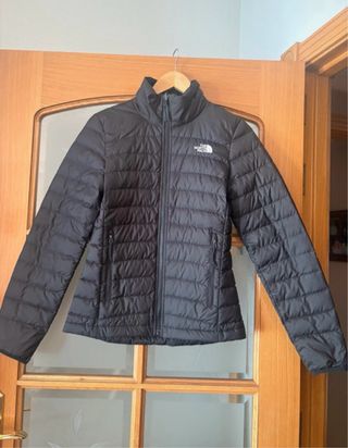 Chaqueta y plumas  The North Face gris