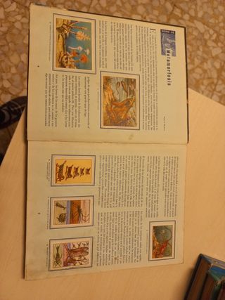 Las maravillas del universo