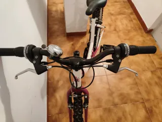 Bicicleta niña 24 Flores