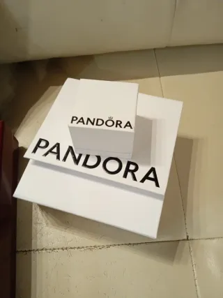 Cajas y bolsas Gucci y Pandora
