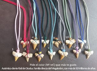 Colgantes Auténticos Fósiles  Otodus/Squalicorax