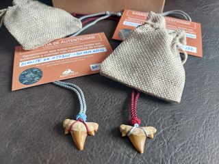 Colgantes Auténticos Fósiles  Otodus/Squalicorax