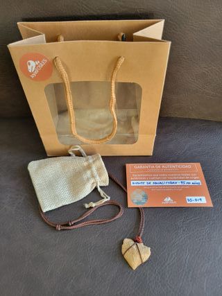 Colgantes Auténticos Fósiles  Otodus/Squalicorax