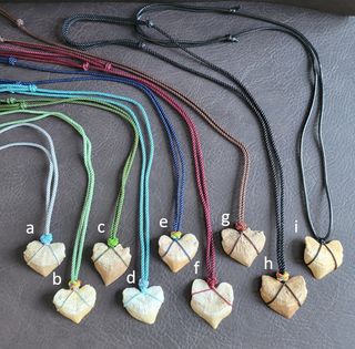 Colgantes Auténticos Fósiles  Otodus/Squalicorax